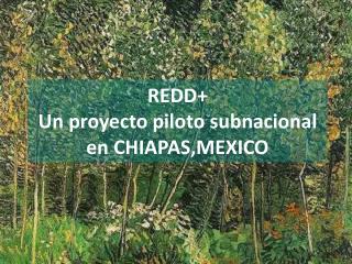 REDD+ Un proyecto piloto subnacional en CHIAPAS,MEXICO