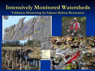 Intensively Monitored Watersheds Validation Monitoring for Salmon Habitat Restoration