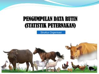PEN GUMPULAN DATA RUTIN (STATISTIK PETERNAKAN)