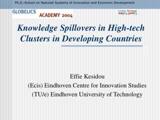 Knowledge Spillovers in High-tech Clusters in Developing Countries