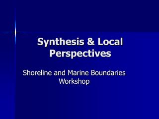 Synthesis &amp; Local Perspectives