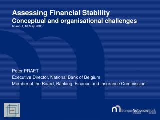 Assessing Financial Stability Conceptual and organisational challenges Istanbul, 18 May 2005