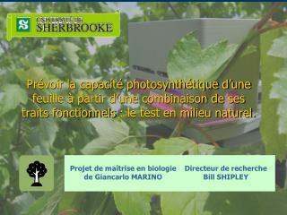 Projet de maîtrise en biologie de Giancarlo MARINO