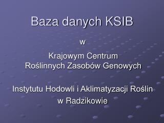 Baza danych KSIB