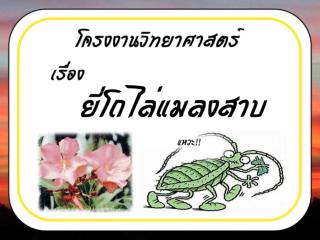 ตัดกิ่งยี่โถมาจากต้นจำนวนหนึ่ง แล้วตัดใบออกให้หมด เอาแต่ตัวของกิ่งยี่โถ