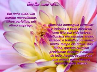 Ela tinha tudo: um marido maravilhoso, filhos perfeitos, um ótimo emprego.