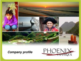 Company profile