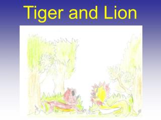 Tiger and Lion