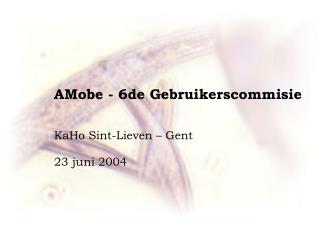 AMobe - 6de Gebruikerscommisie KaHo Sint-Lieven – Gent 23 juni 2004