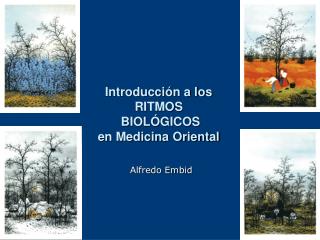 Introducción a los RITMOS BIOLÓGICOS en Medicina Oriental