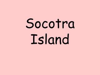 Socotra Island