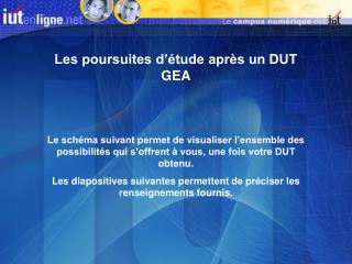 Les poursuites d’étude après un DUT GEA