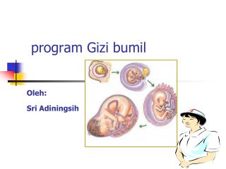 program Gizi bumil Oleh: Sri Adiningsih