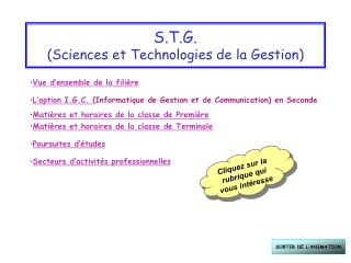 S.T.G. ( S ciences et T echnologies de la G estion)