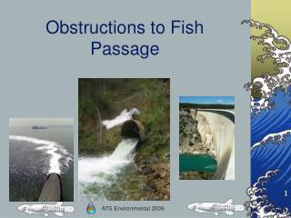 Obstructions to Fish Passage