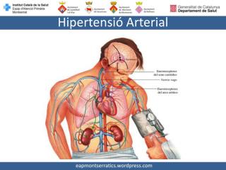 Hipertensió Arterial