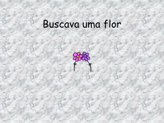 Buscava uma flor