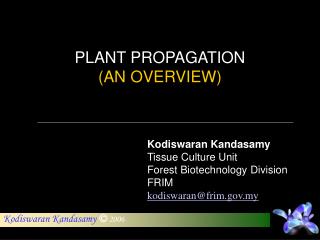 Kodiswaran Kandasamy Tissue Culture Unit Forest Biotechnology Division FRIM kodiswaran@frim.my
