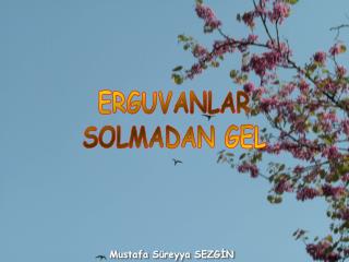 ERGUVANLAR SOLMADAN GEL