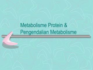 Metabolisme Protein &amp; Pengendalian Metabolisme