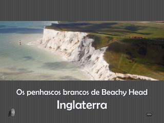 Os penhascos brancos de Beachy Head Inglaterra