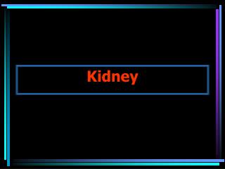 Kidney