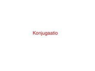 Konjugaatio