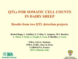 QTLs FOR SOMATIC CELL COUNTS IN DAIRY SHEEP Results from two QTL detection projects