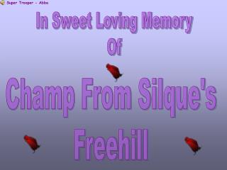 Champ From Silque's Freehill