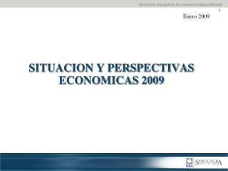 SITUACION Y PERSPECTIVAS ECONOMICAS 2009