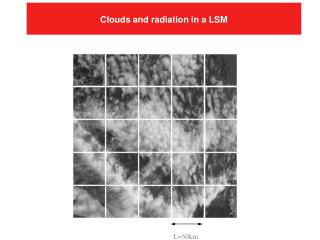 Clouds and radiation in a LSM
