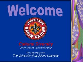 Cultural Diversity Online Tutoring Training Workshop The Learning Center