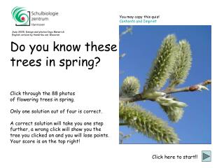 Click through the 88 photos of flowering trees in spring.