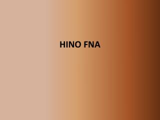 HINO FNA