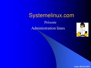 Systemelinux