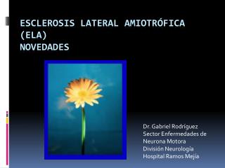 Esclerosis Lateral Amiotrófica (ELA) Novedades