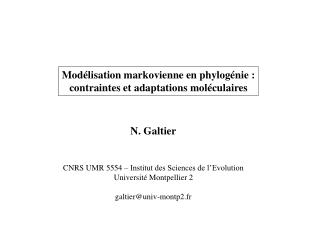 Modélisation markovienne en phylogénie : contraintes et adaptations moléculaires