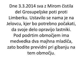 Grosupeljsk-pot-od-Sp.-Slivnice-proti-Limberku-3.3.2014