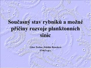 Současný stav rybníků a možné příčiny rozvoje planktonních sinic