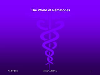 The World of Nematodes
