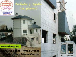 trivesa.es