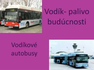 Vodík- palivo budúcnosti