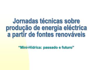 Jornadas técnicas sobre produção de energia eléctrica a partir de fontes renováveis