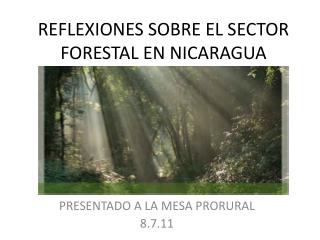 REFLEXIONES SOBRE EL SECTOR FORESTAL EN NICARAGUA