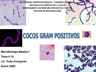 COCOS GRAM POSITIVOS