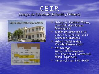 C.E.I.P. Colegio de Educación Infantil y Primaria