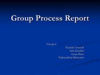 Group Process Report