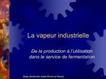 La vapeur industrielle