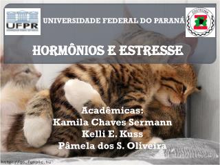 UNIVERSIDADE FEDERAL DO PARANÁ