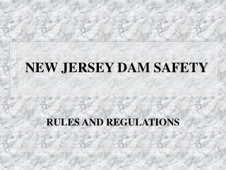 NEW JERSEY DAM SAFETY